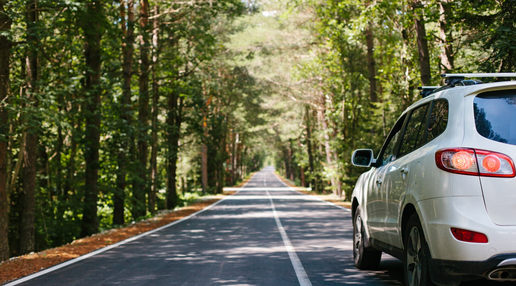 A car driving down a clear road with tall trees on all sides. The trees are bringing shade to some parts of the road.