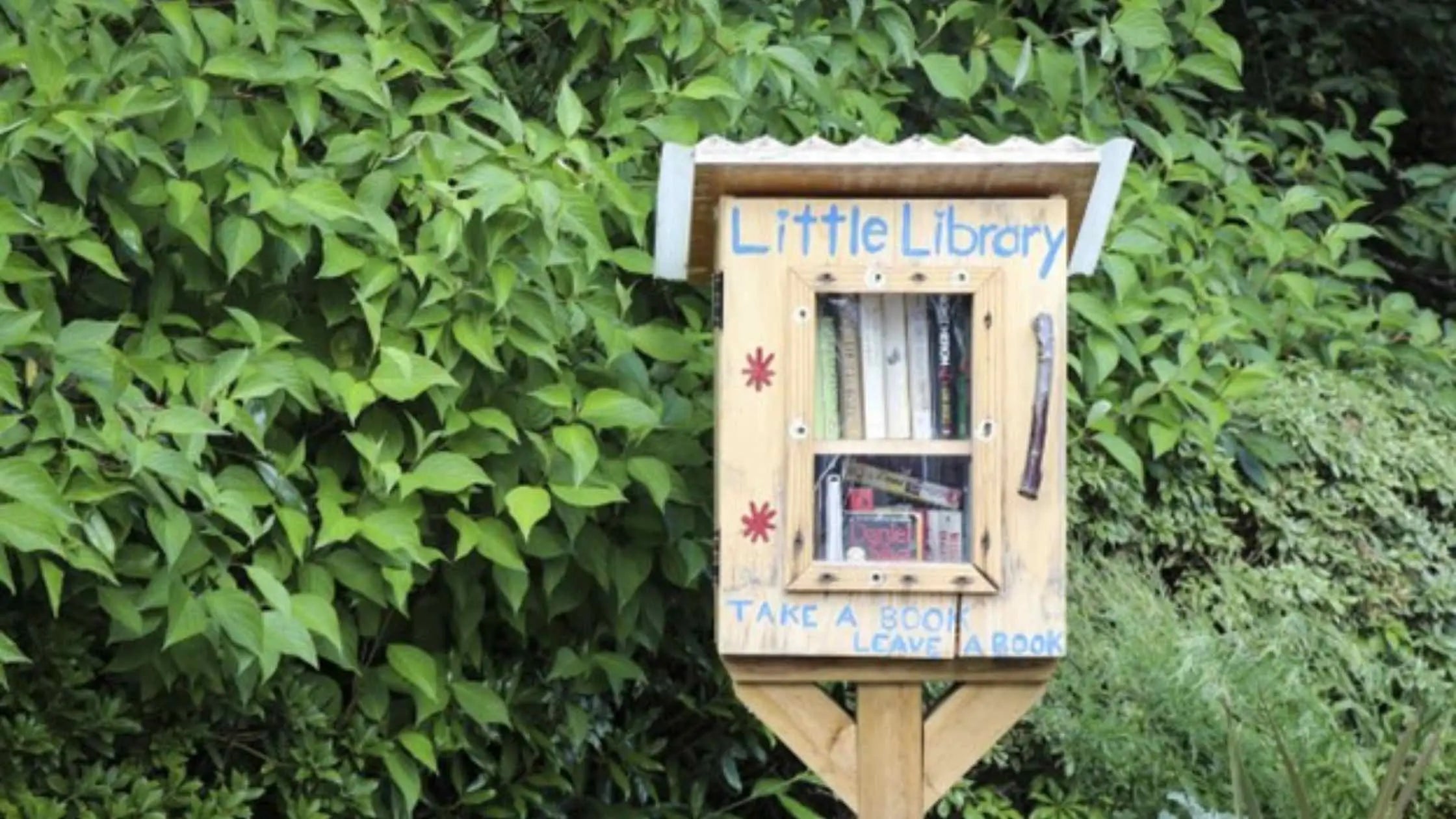 little free library dapper yankee